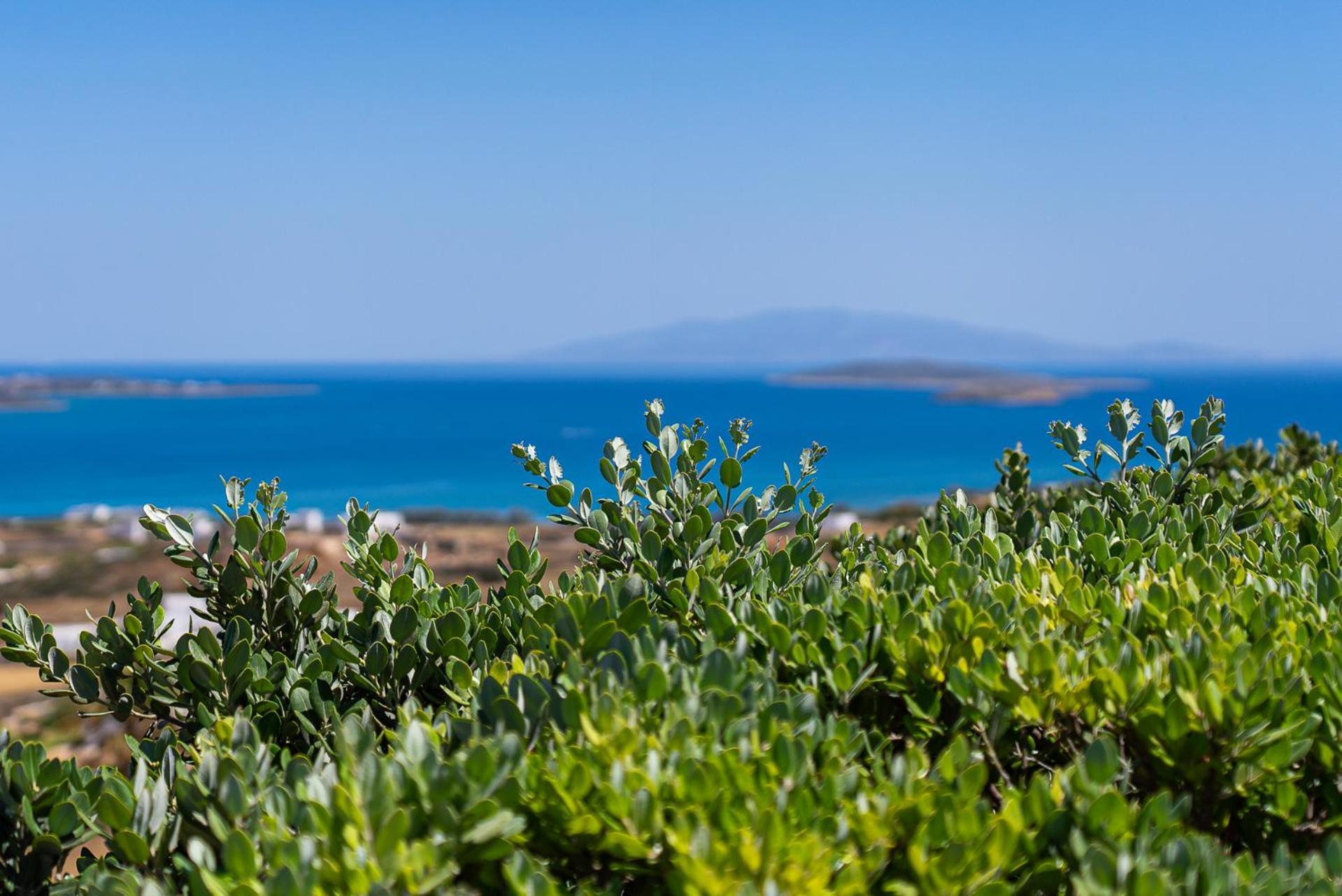 Lagadia Village Andíparos Pokój zdjęcie
